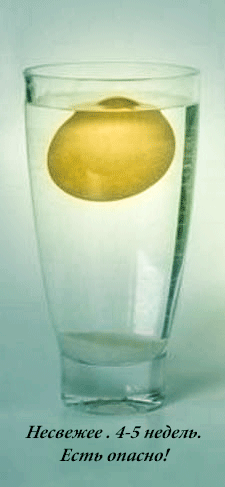 Zepsute jajka unoszą się na wodzie.  Dwa eksperymenty z jajkiem kurzym