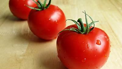 Pomidory mają purpurowy spód.  Pomidory mają fioletowe liście: dlaczego jest problem i co robić w takim przypadku.  Dlaczego sadzonki pomidorów więdną i opadają?