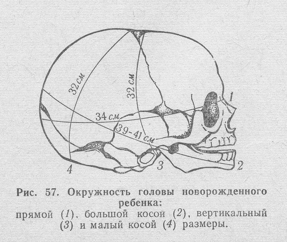 Окружность головы при рождении