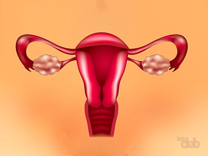  Причины отсутствия менструации