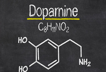 В каких препаратах есть серотонин дофамин эндорфин. Что означает термин «гормон радости» и где его можно найти