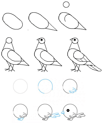 Как научиться рисовать птичку