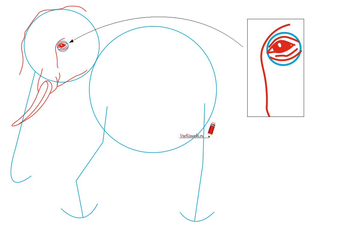 Как нарисовать глаза слону