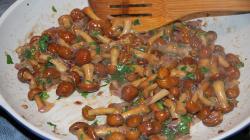 Przepisy na dania z jesiennych grzybów