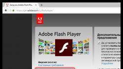 Adobe Flash Player: jak włączyć
